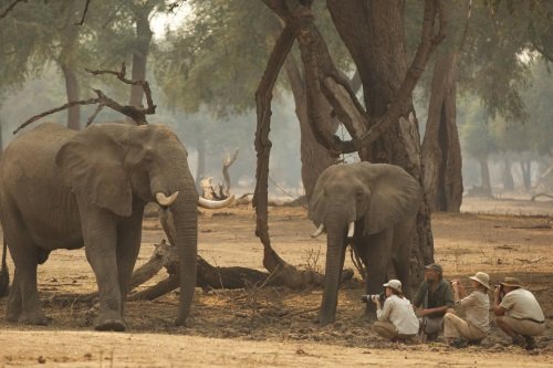 Mana Pools 001